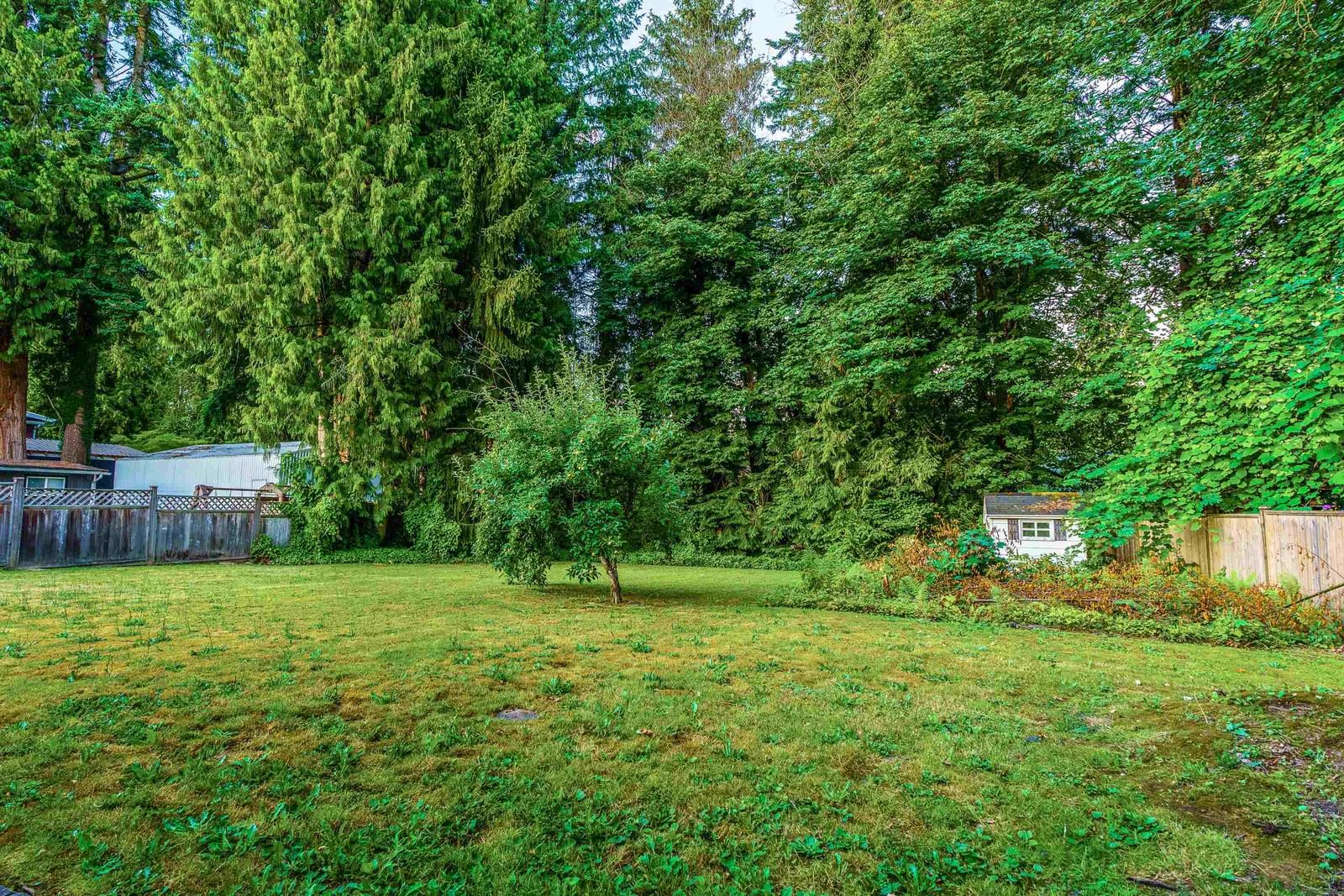Listing Image 24