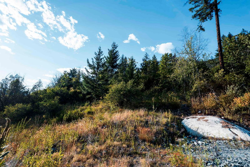 9002 Sun God Mountain Way, Pemberton, V0N 2L3 | Image 3