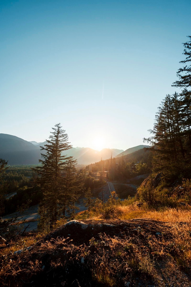 9004 Sun God Mountain Way, Pemberton, V0N 2L3 | Image 2