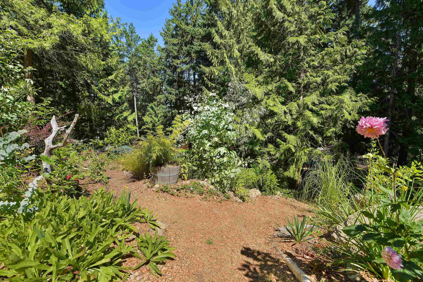 Listing Image 37