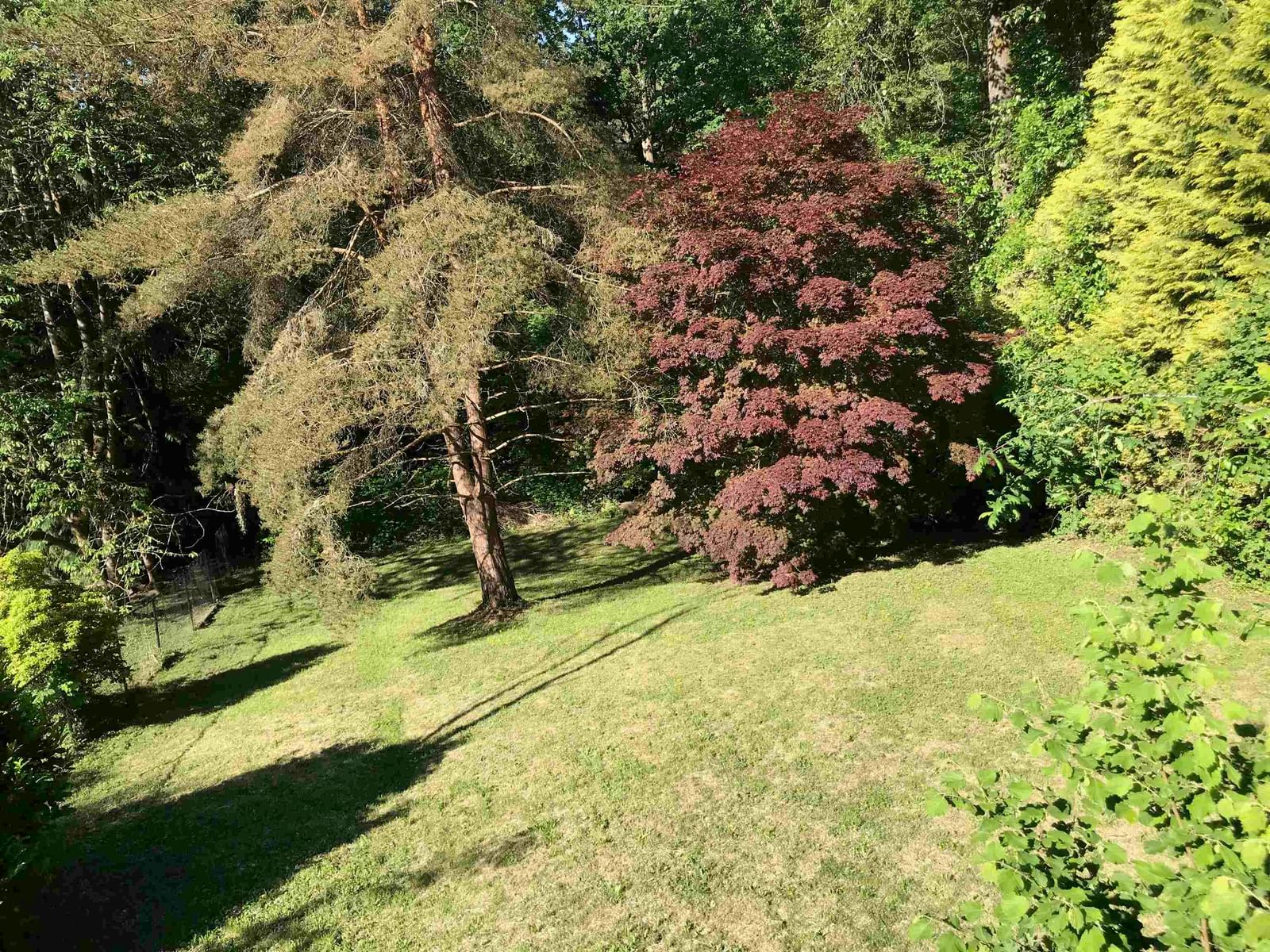 Listing Image 19