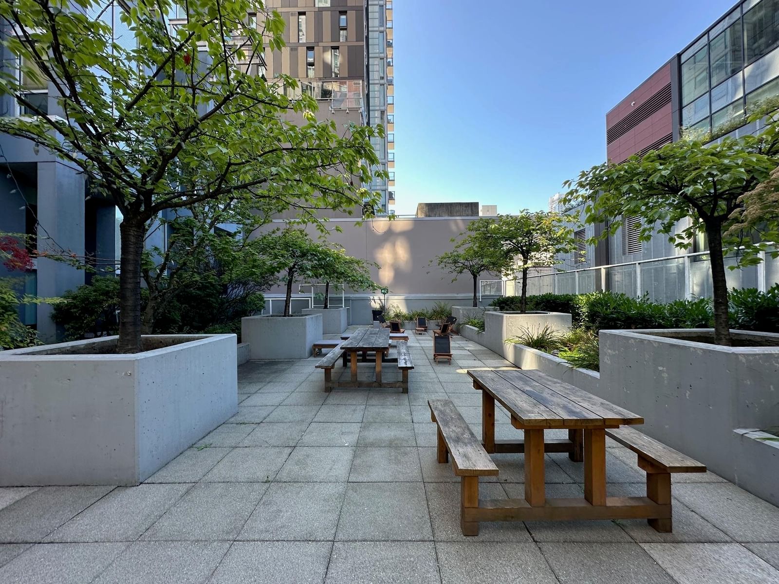 Listing Image 20