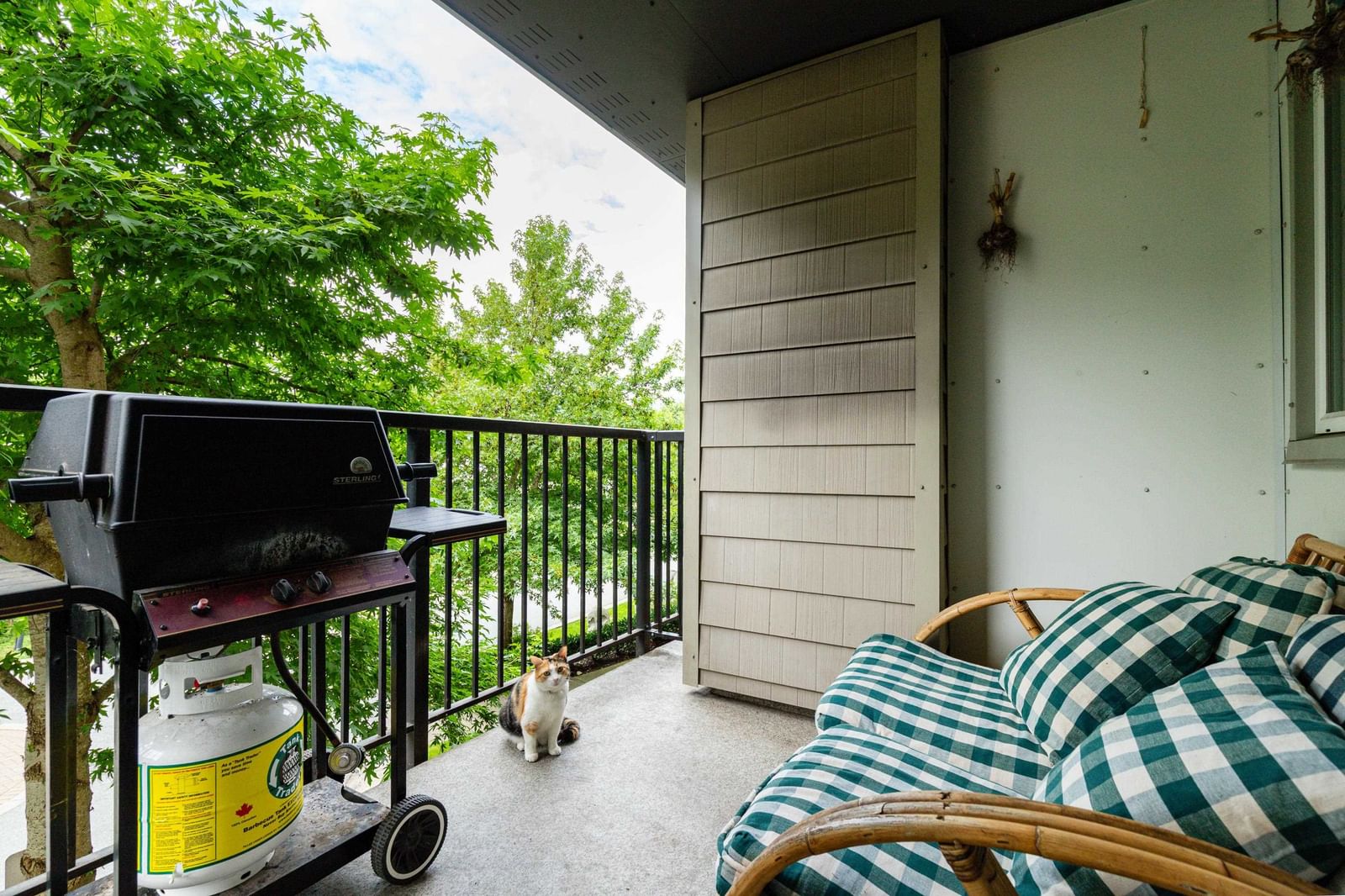 Listing Image 13