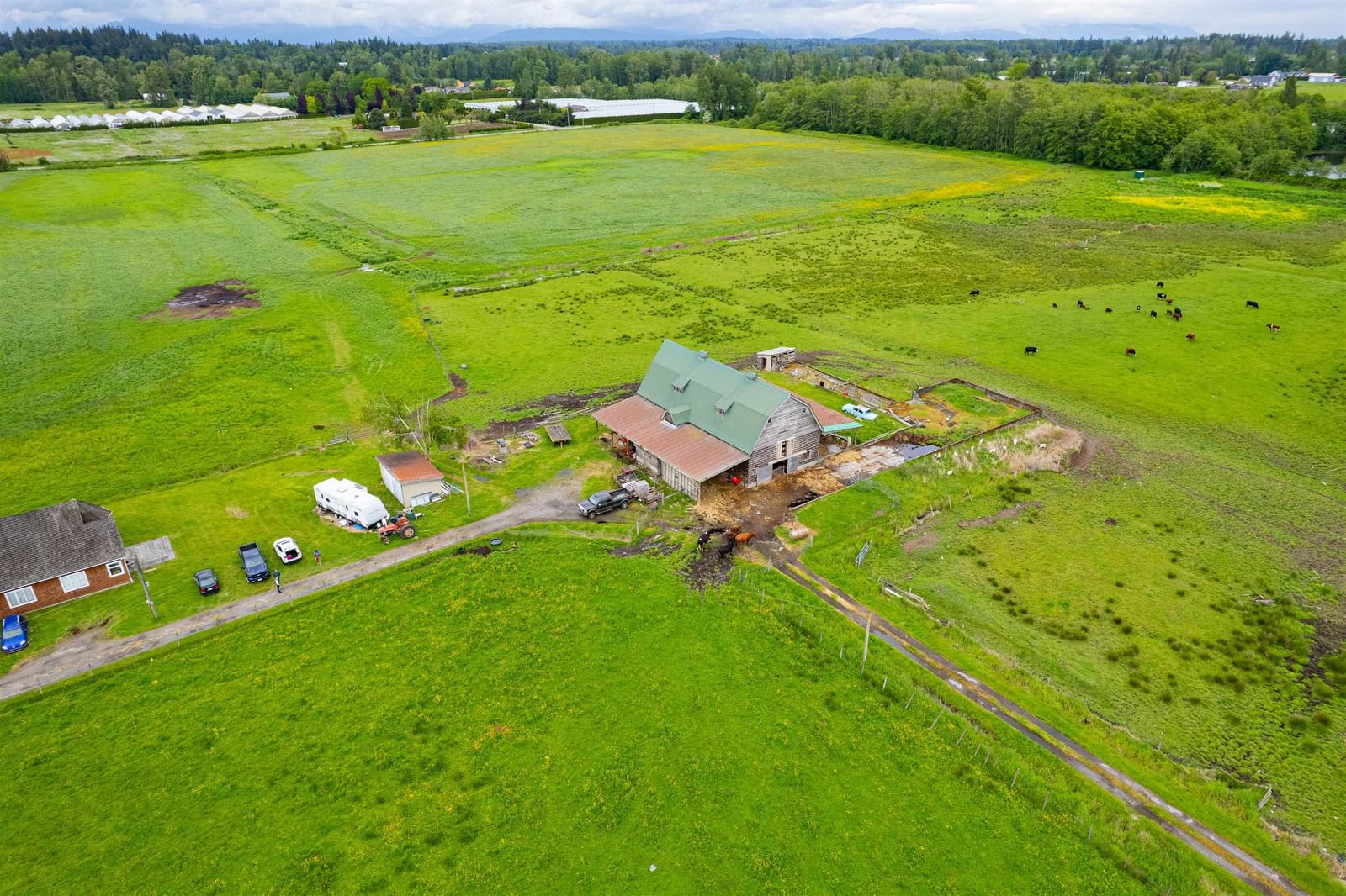 Listing Image 16