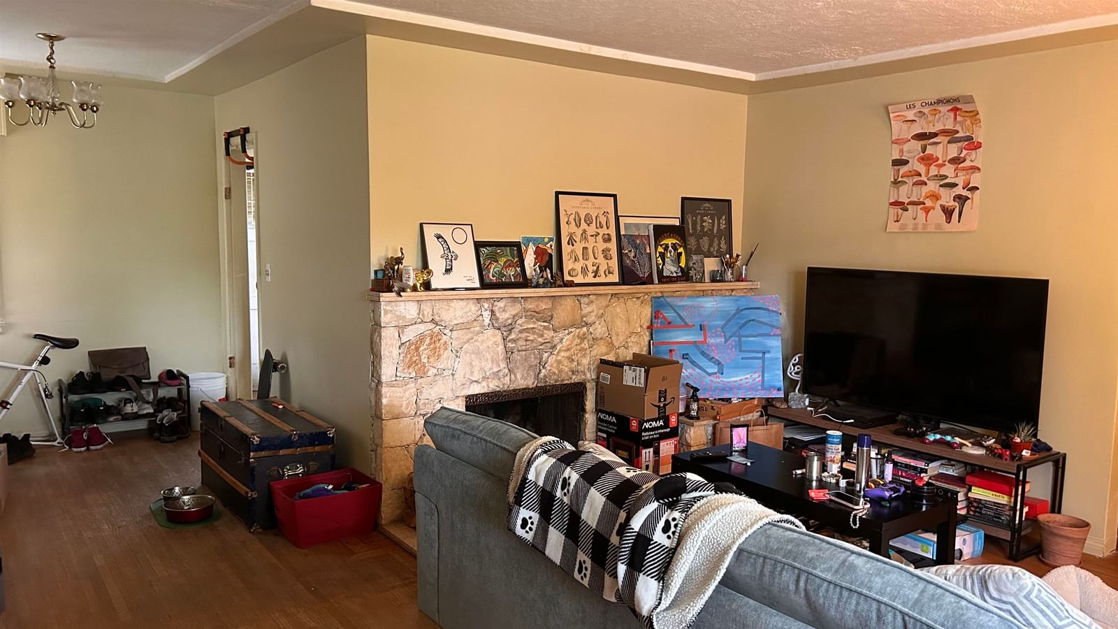 Listing Image 14
