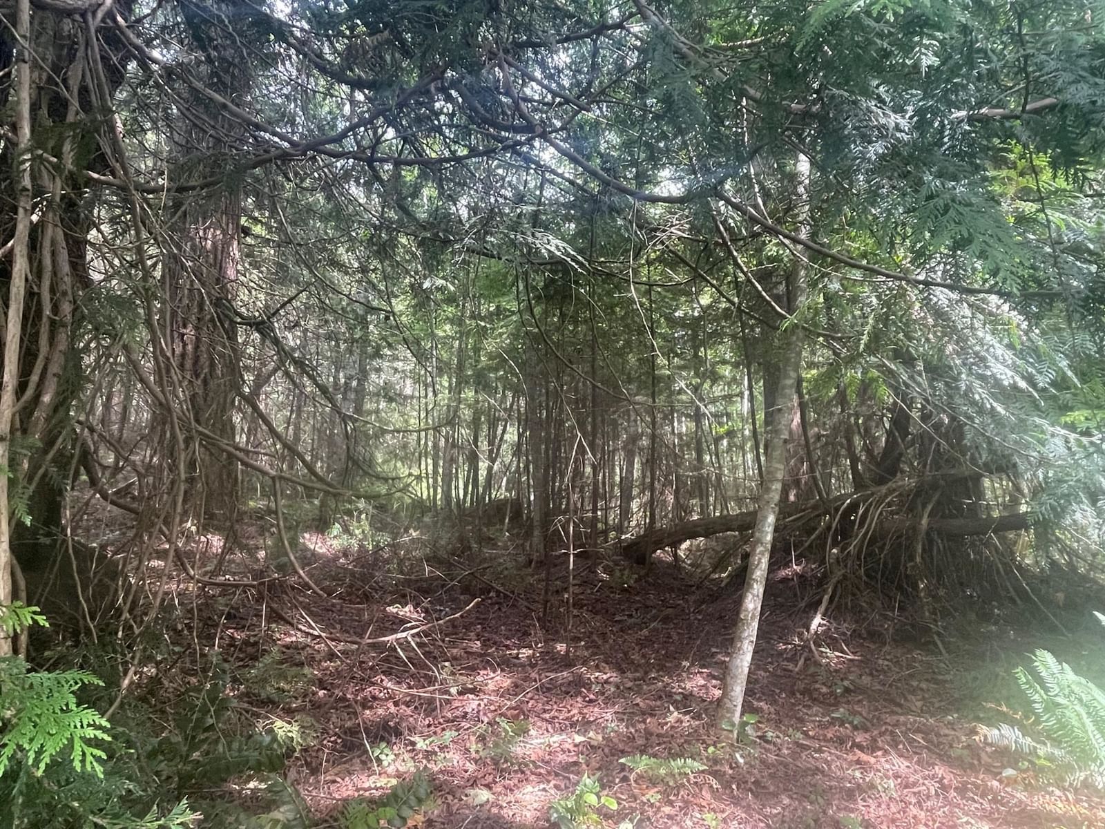Listing Image 17