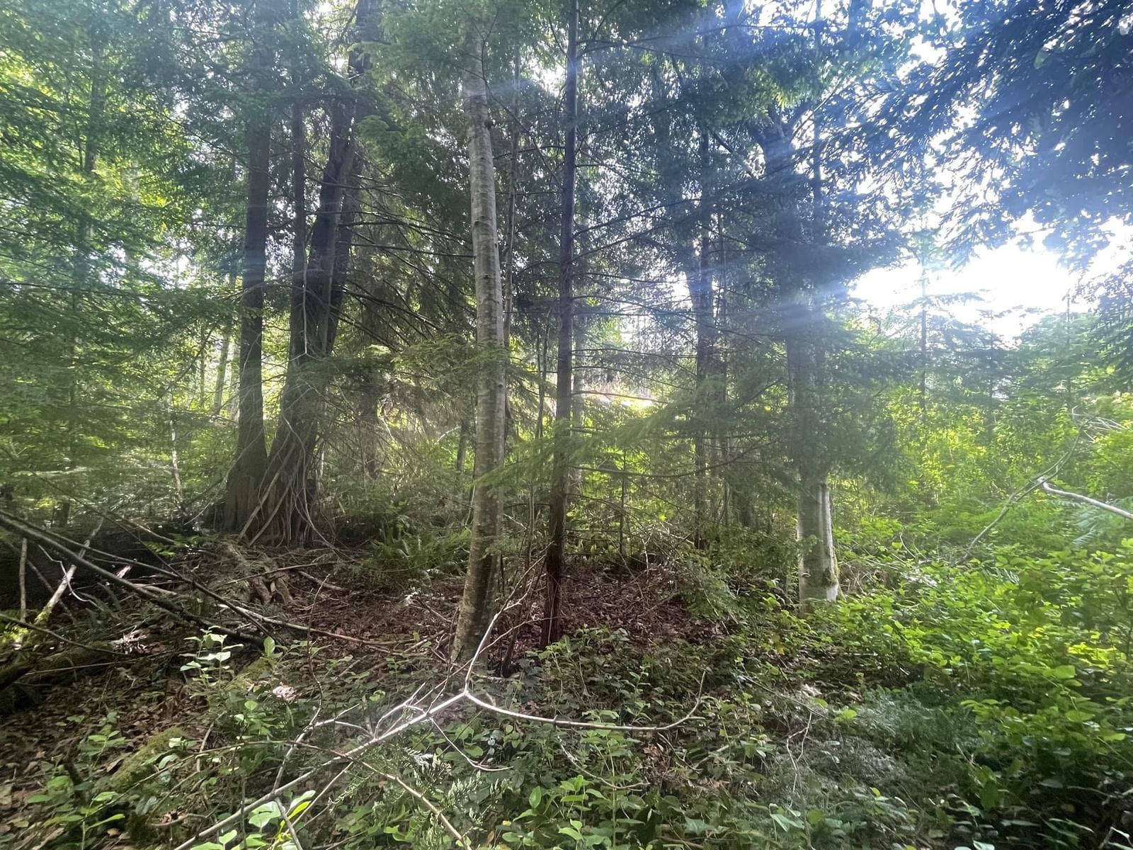 Listing Image 24
