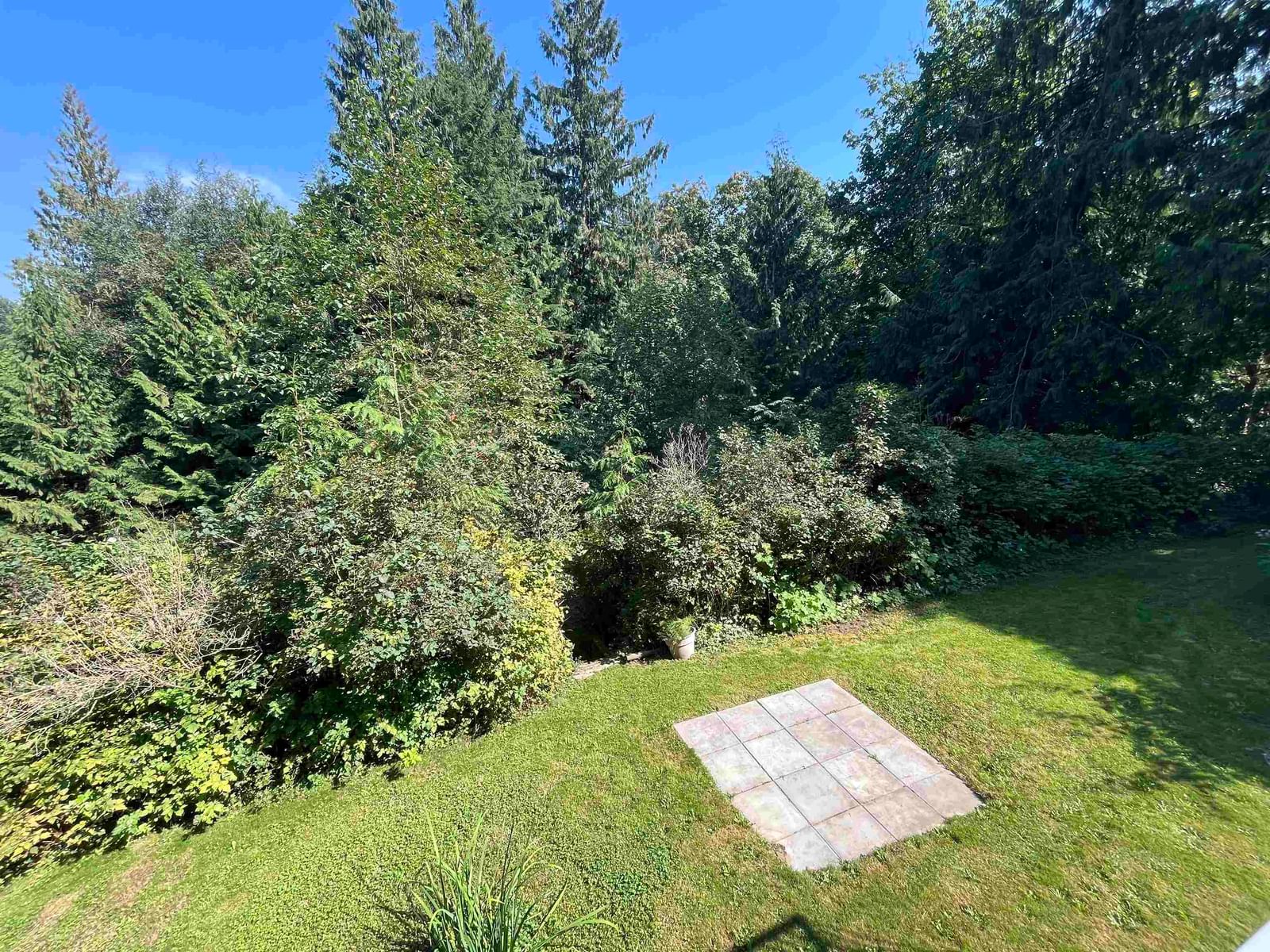 Listing Image 28