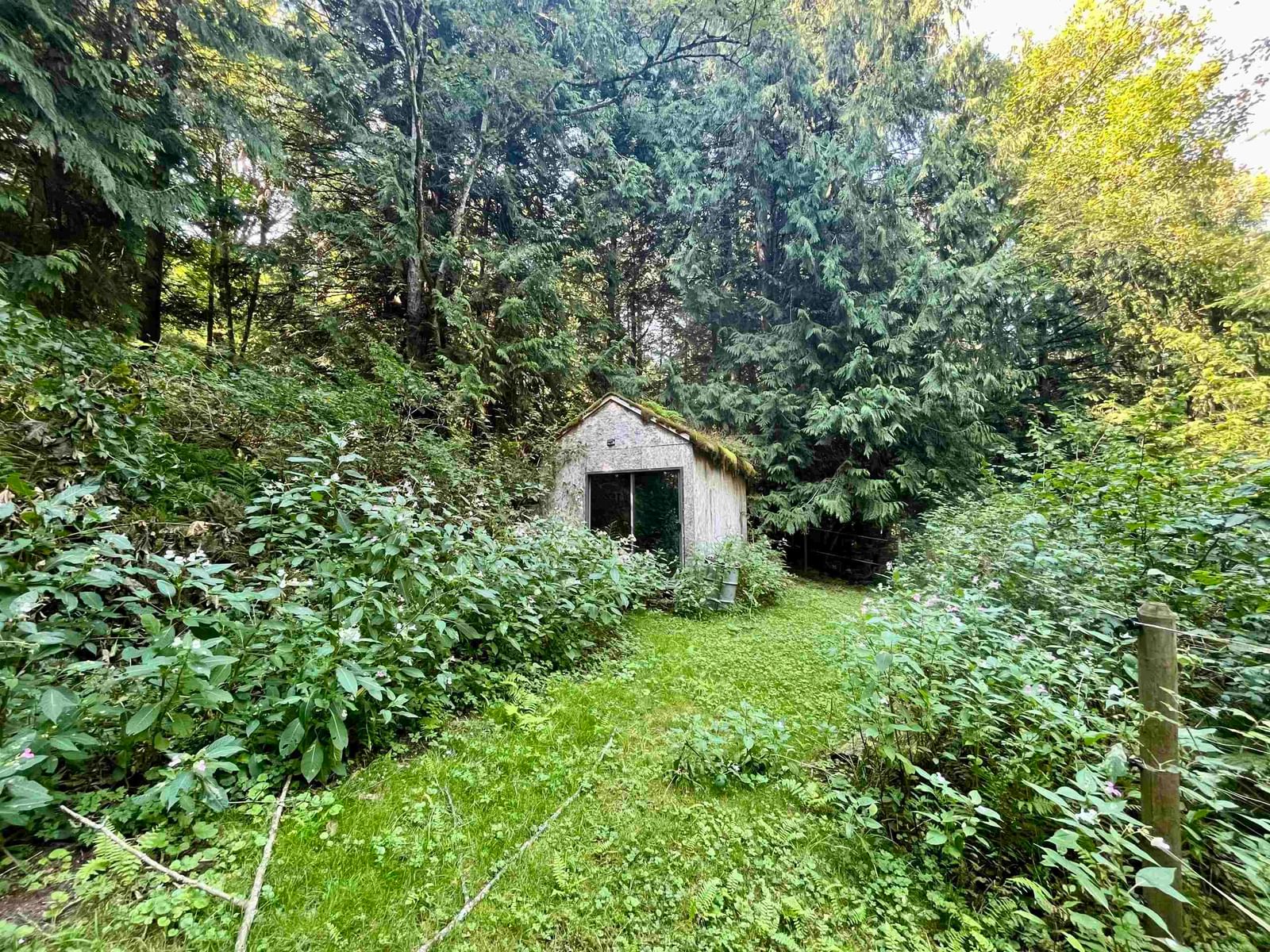 Listing Image 33