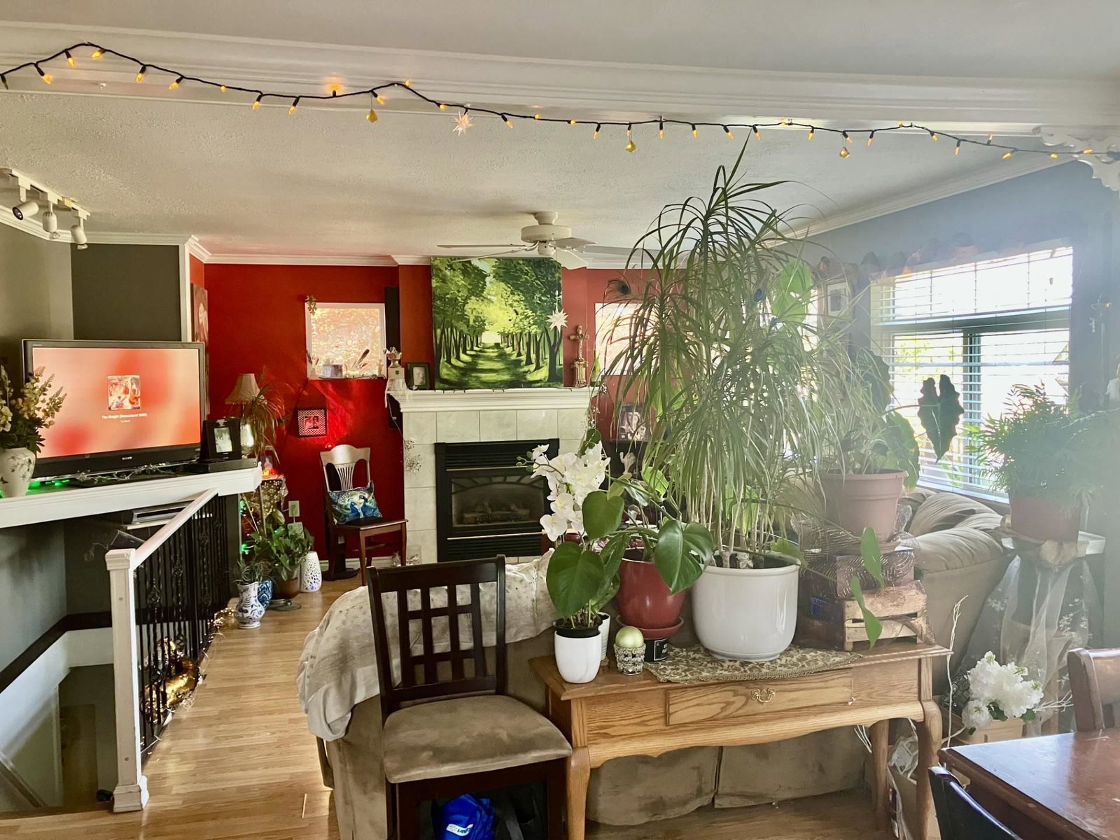 Listing Image 11