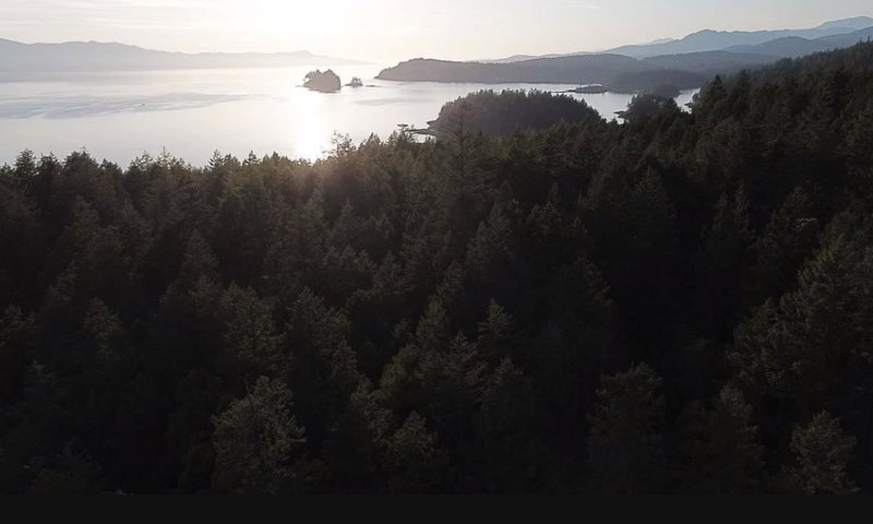 11793 Sunshine Coast Highway, Halfmoon Bay, V7Z 1C1 | Image 2