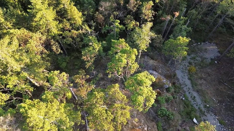 11793 Sunshine Coast Highway, Halfmoon Bay, V7Z 1C1 | Image 3