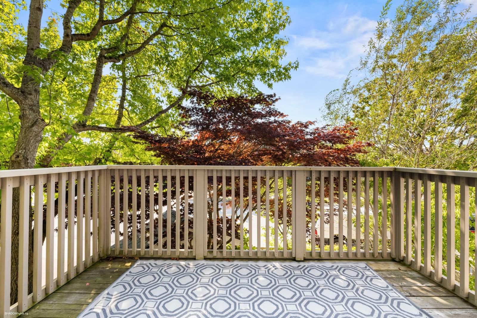 Listing Image 16