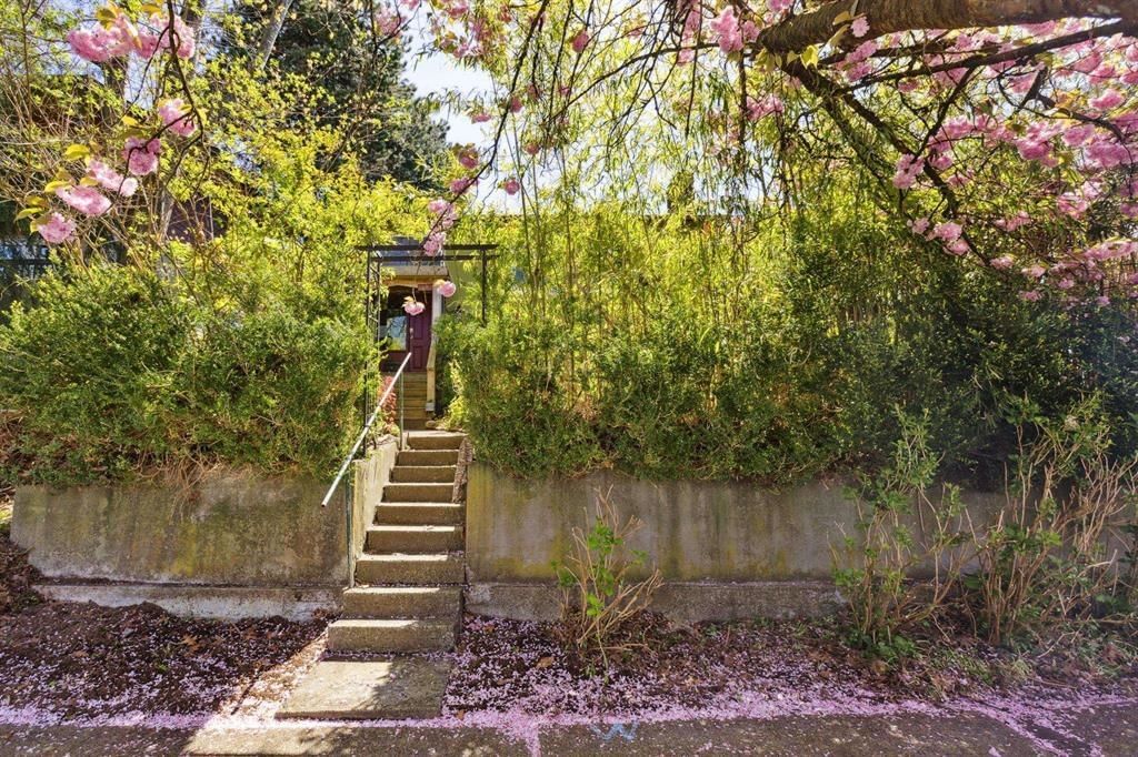 Listing Image 24