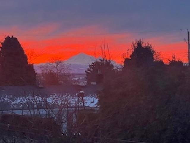 1350 Finlay Street, White Rock, V4B 4L2 | Image 3