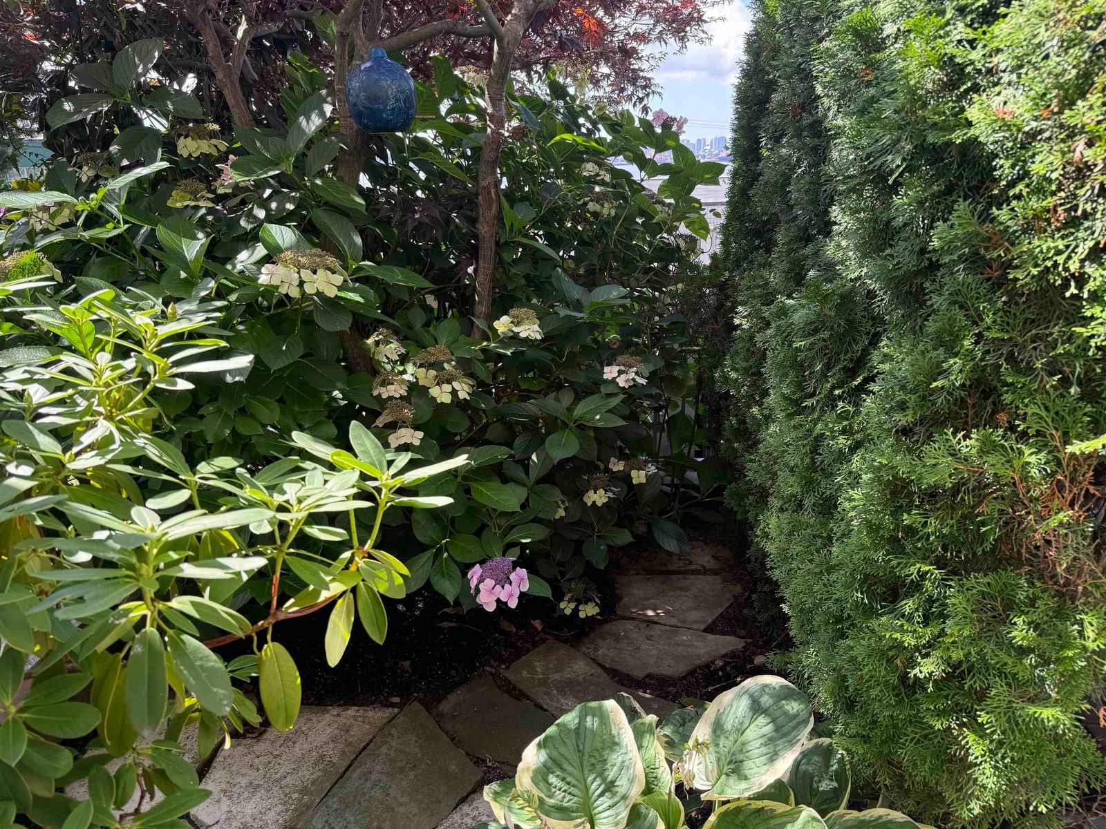 Listing Image 25