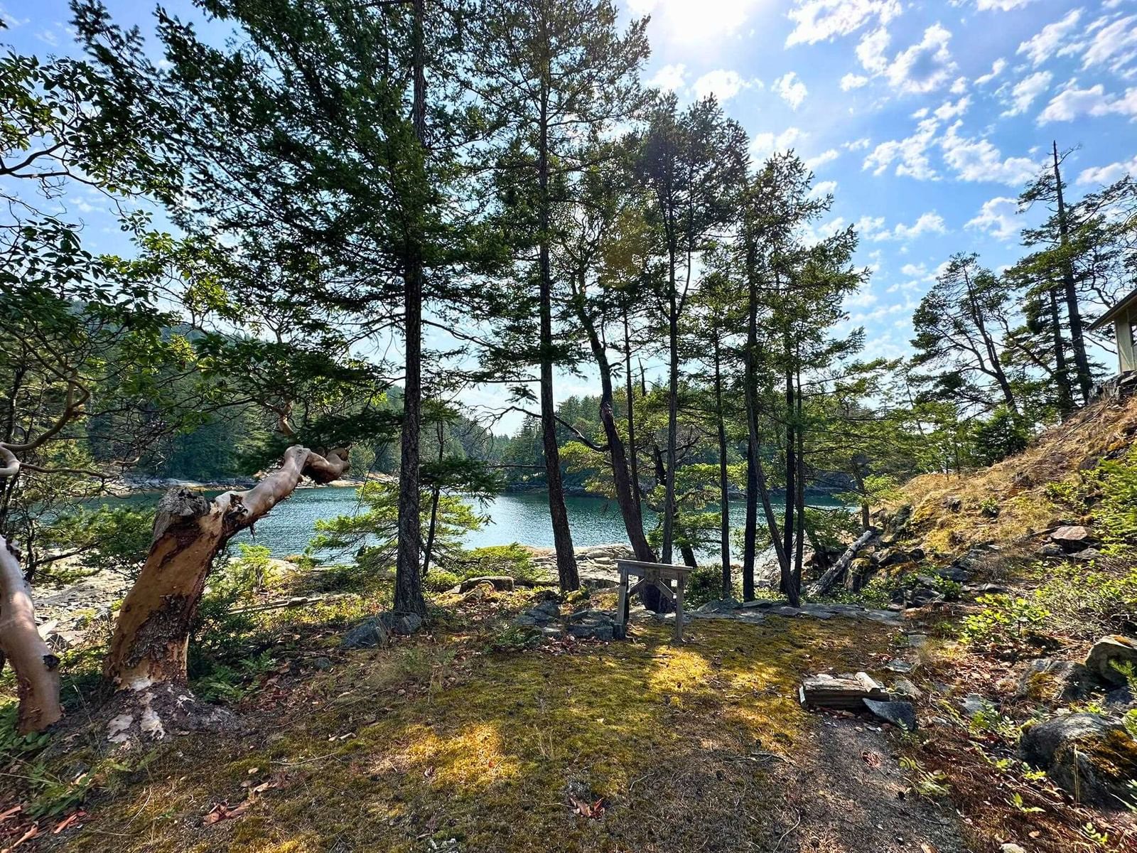Listing Image 18