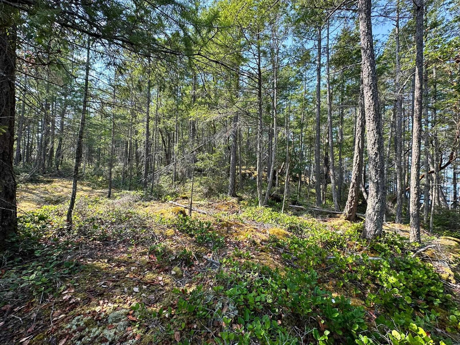 Listing Image 37