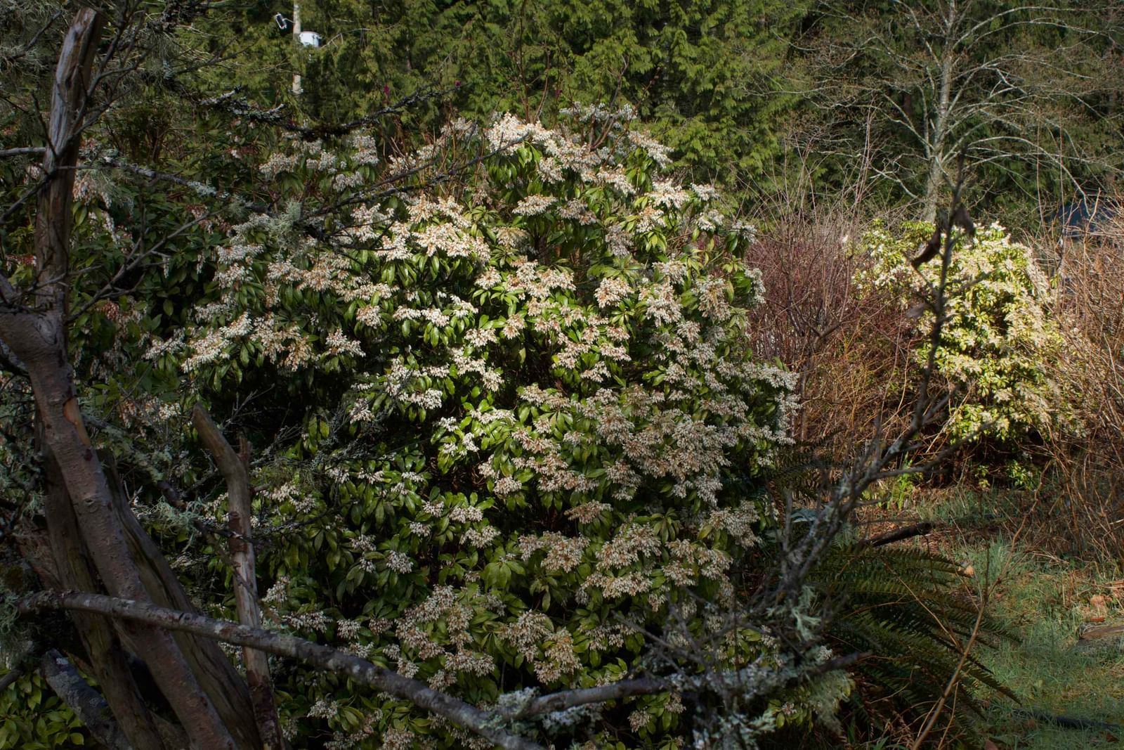 Listing Image 23