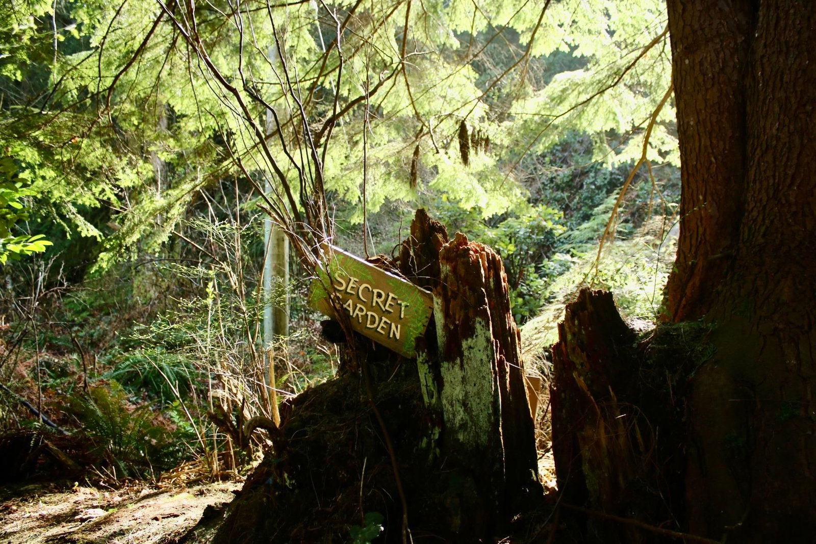 Listing Image 32