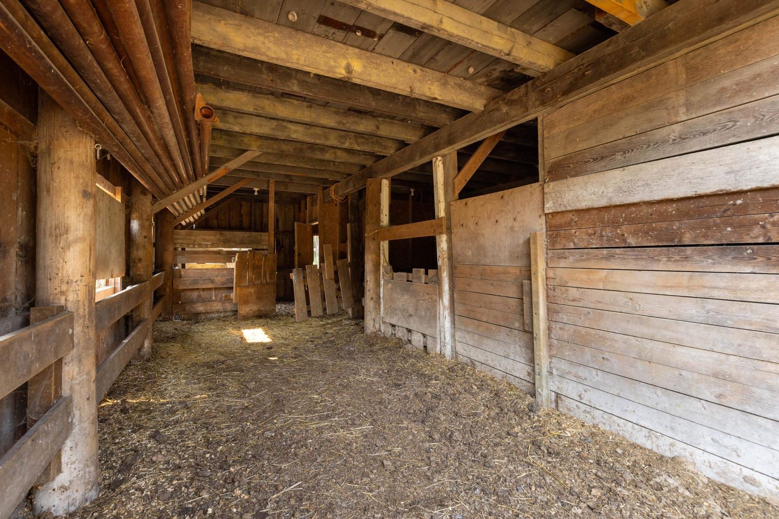 Listing Image 31