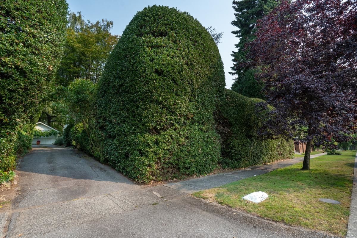 Listing Image 32