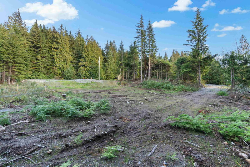 12685 Carr Street, Mission, V4S 1B9 | Image 3