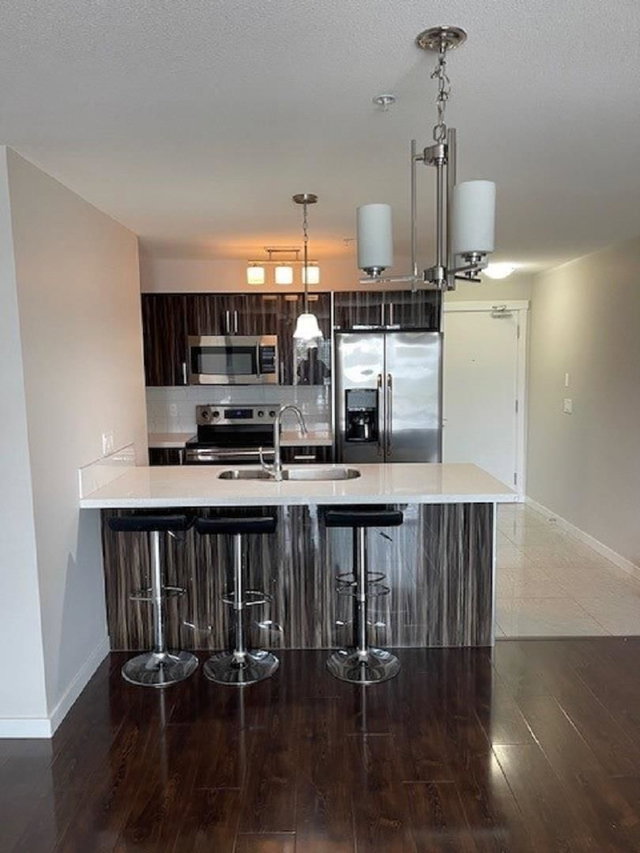 205 - 22318 Lougheed Highway