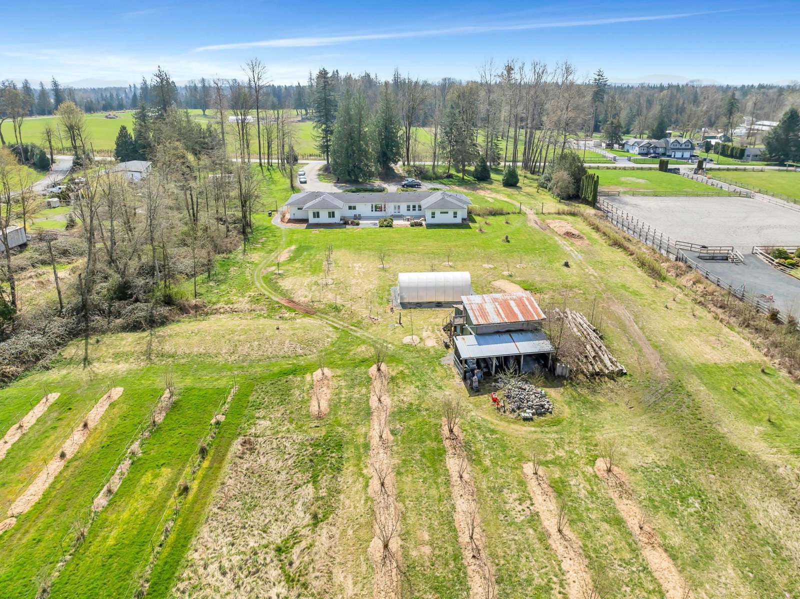 Listing Image 10