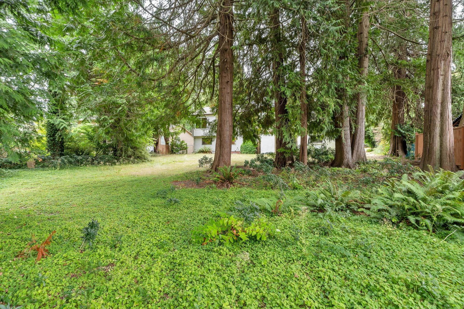 Listing Image 39