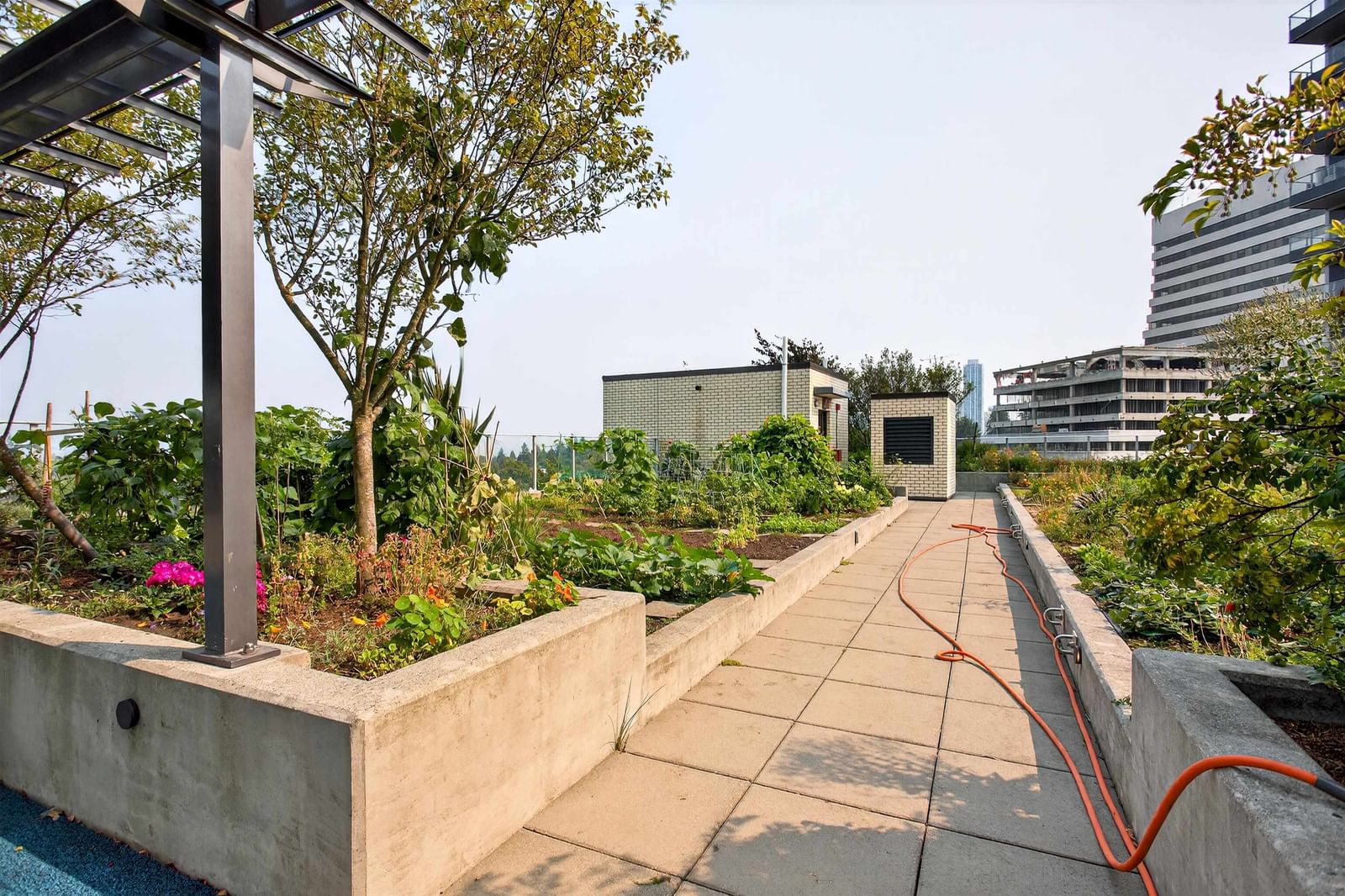 Listing Image 20