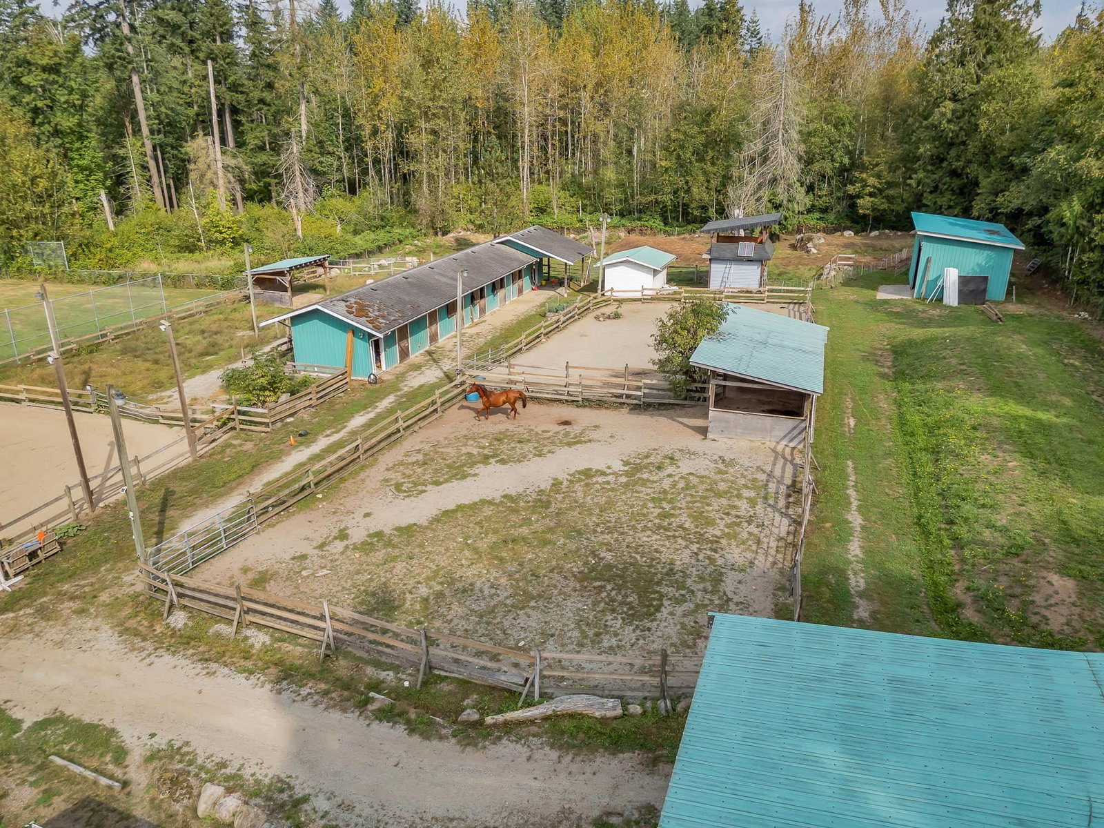 Listing Image 10