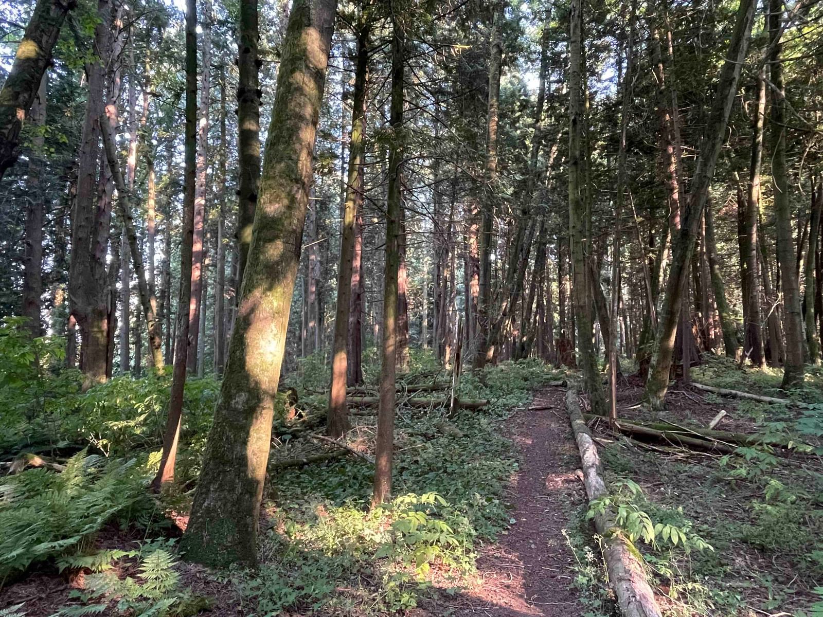 Listing Image 11