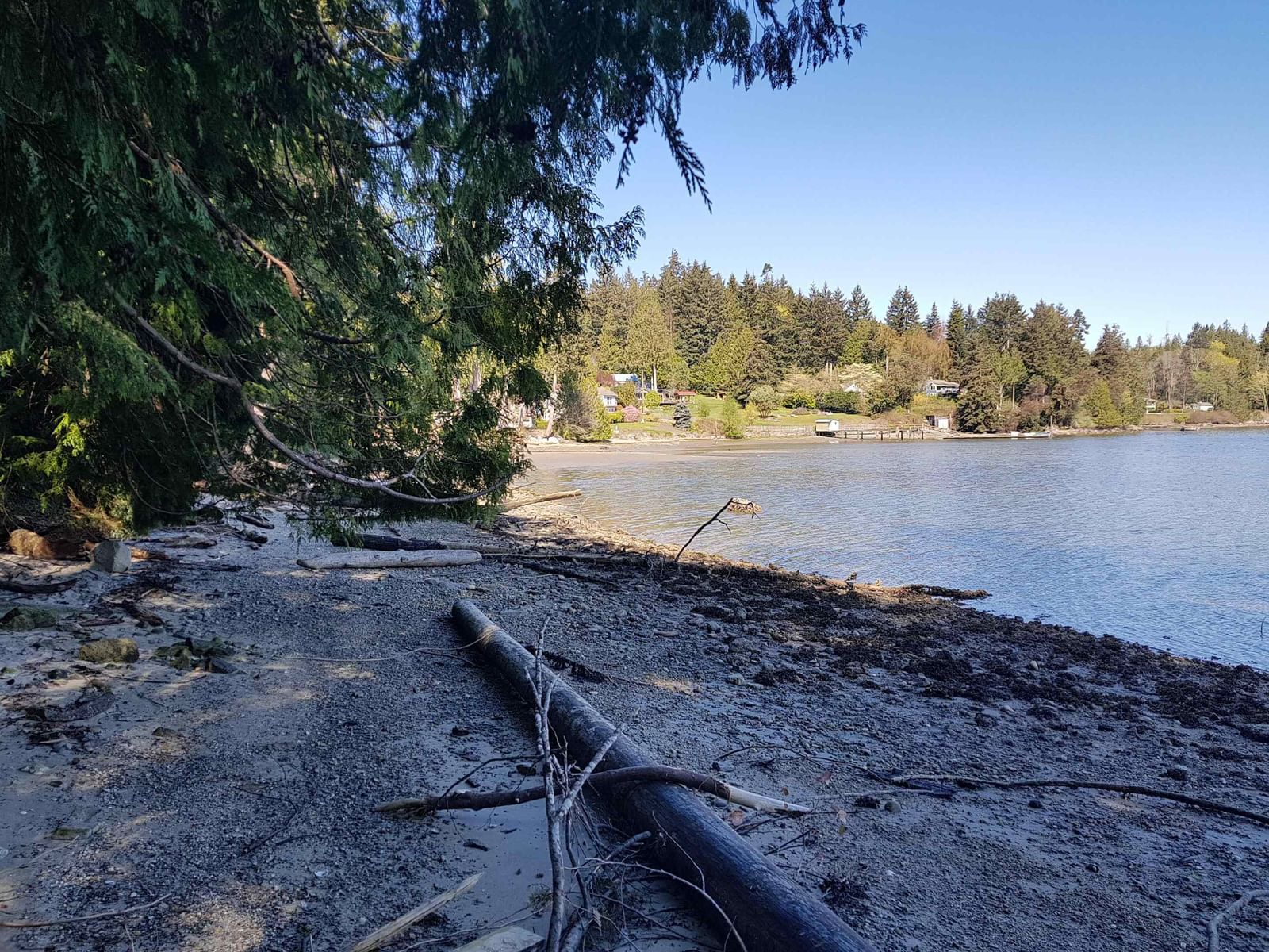 Listing Image 11