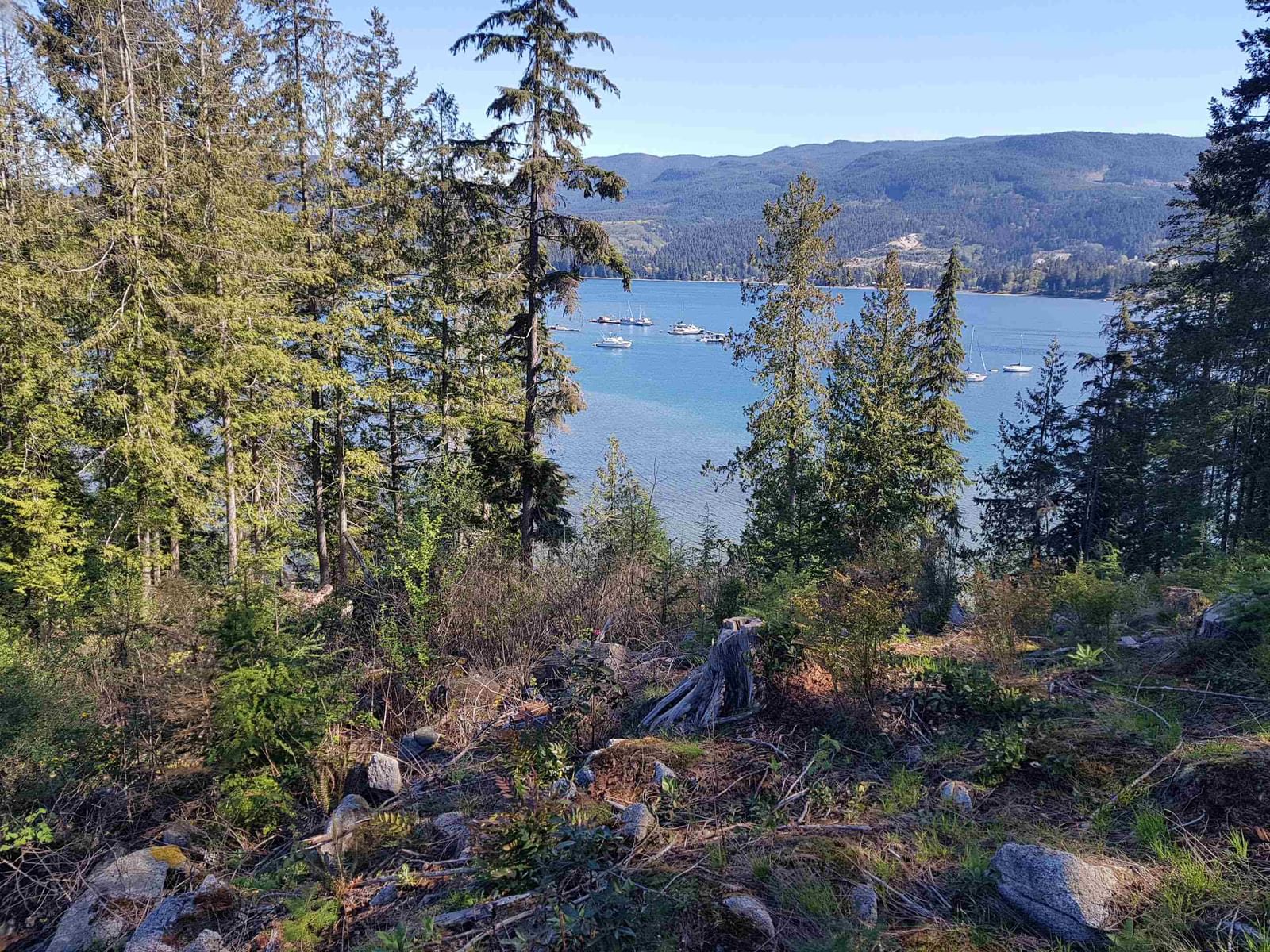 Listing Image 19