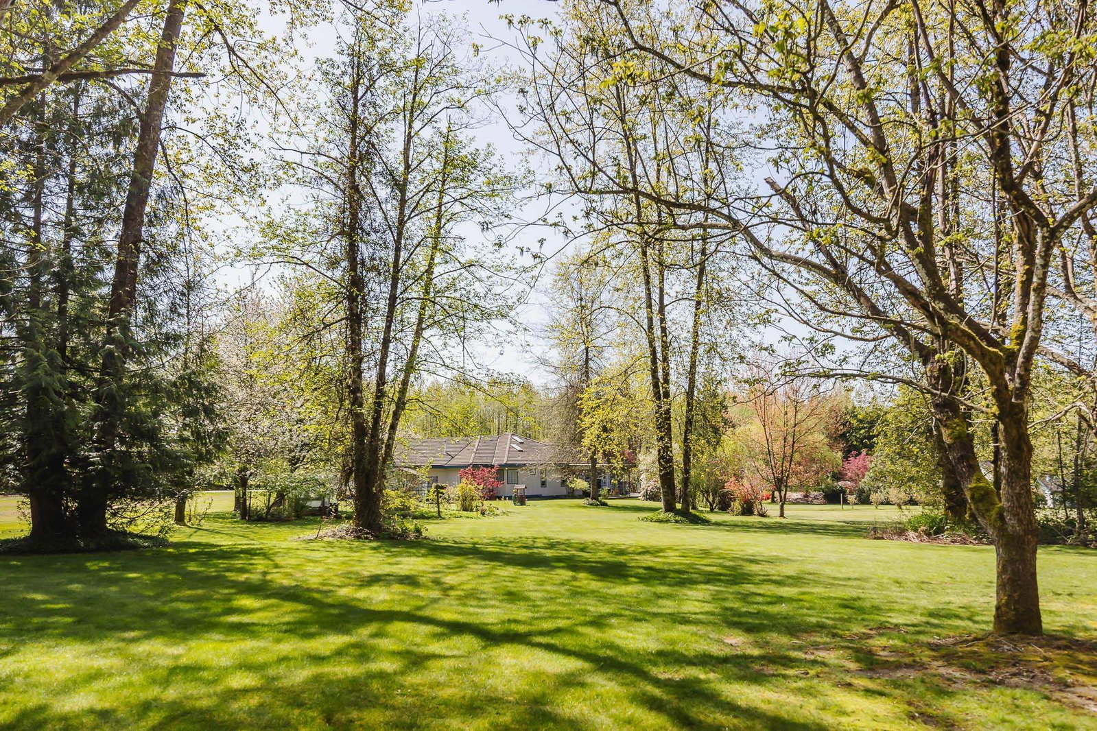 Listing Image 36
