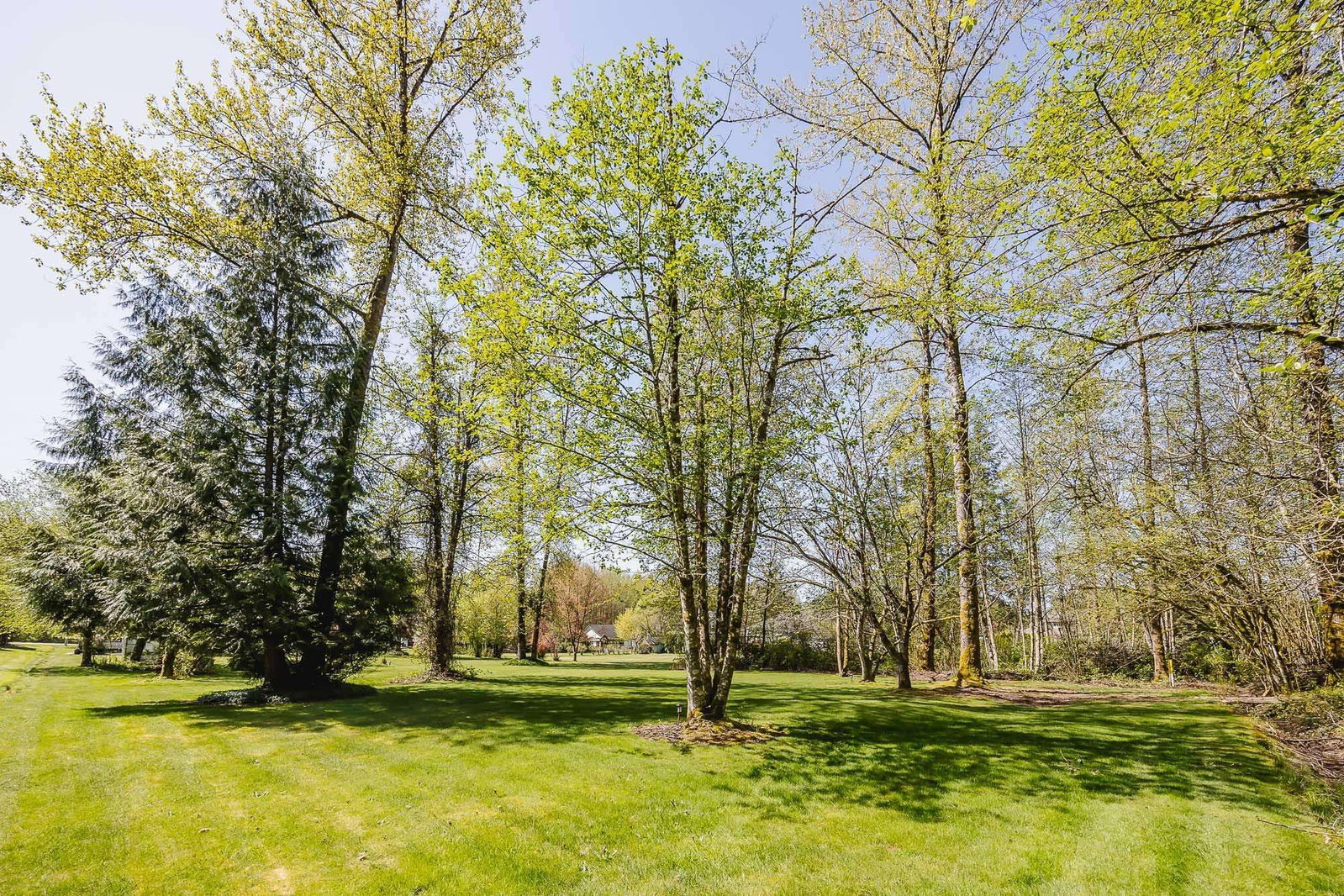 Listing Image 37