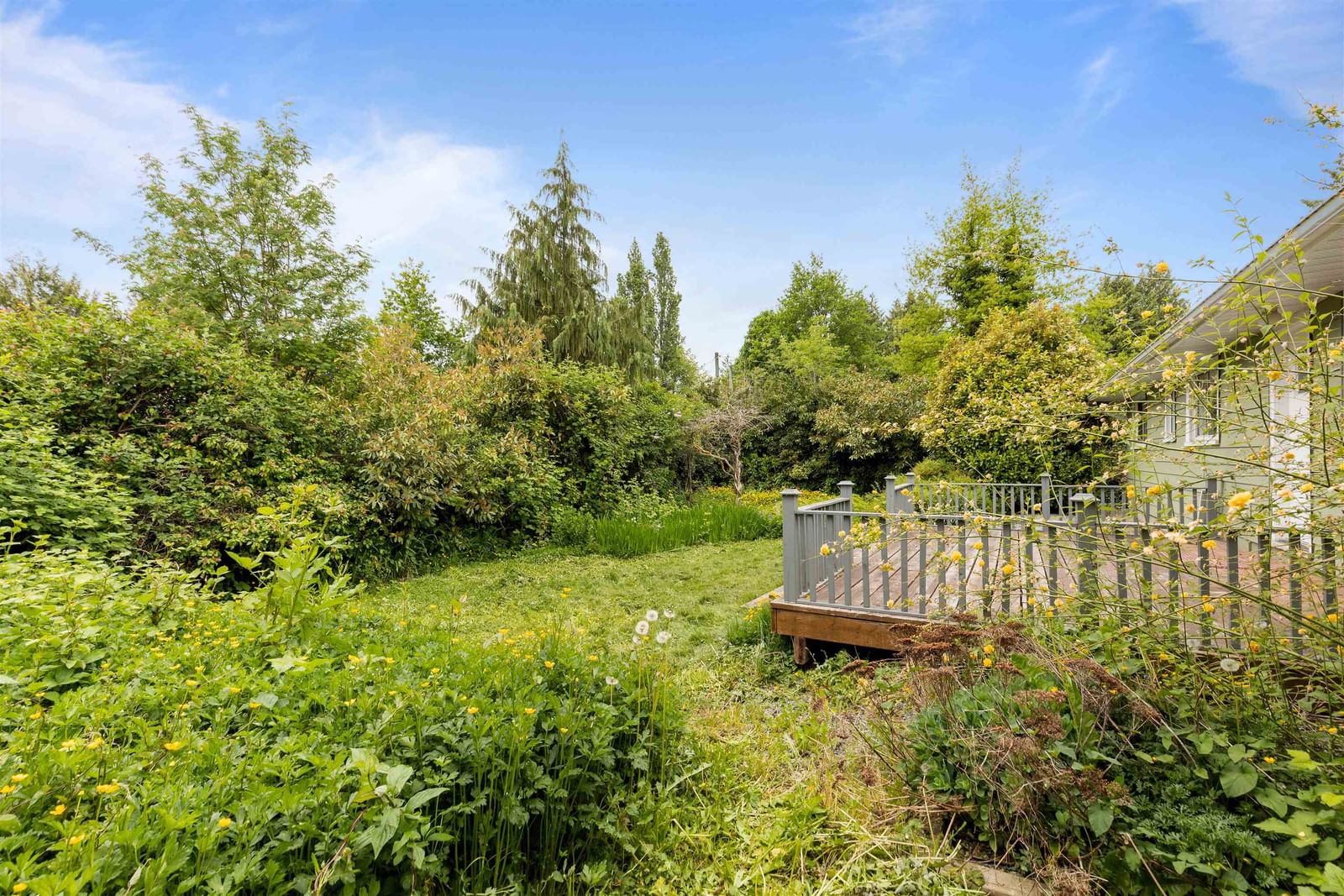 Listing Image 22
