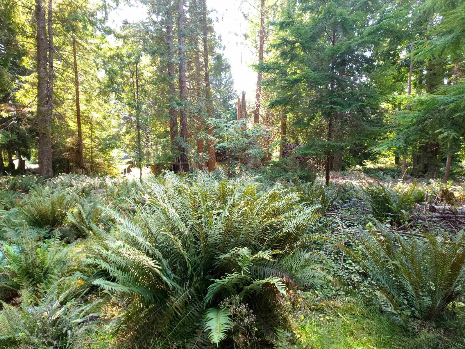 Listing Image 31