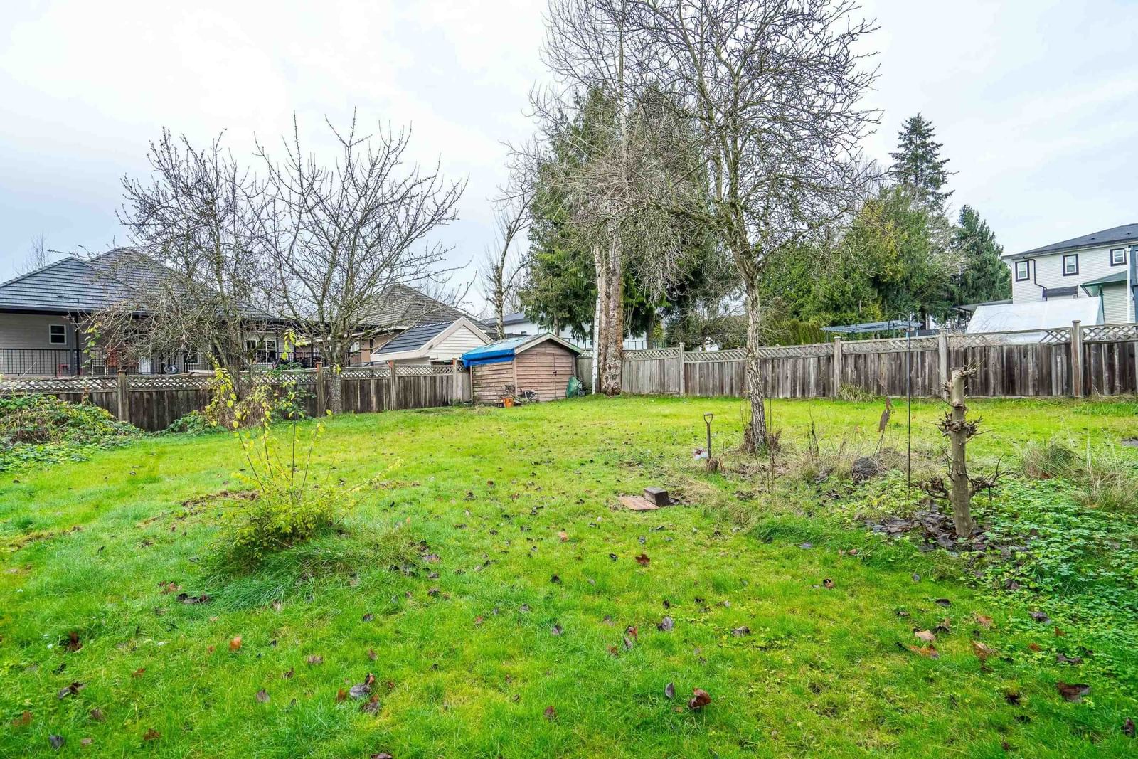Listing Image 25