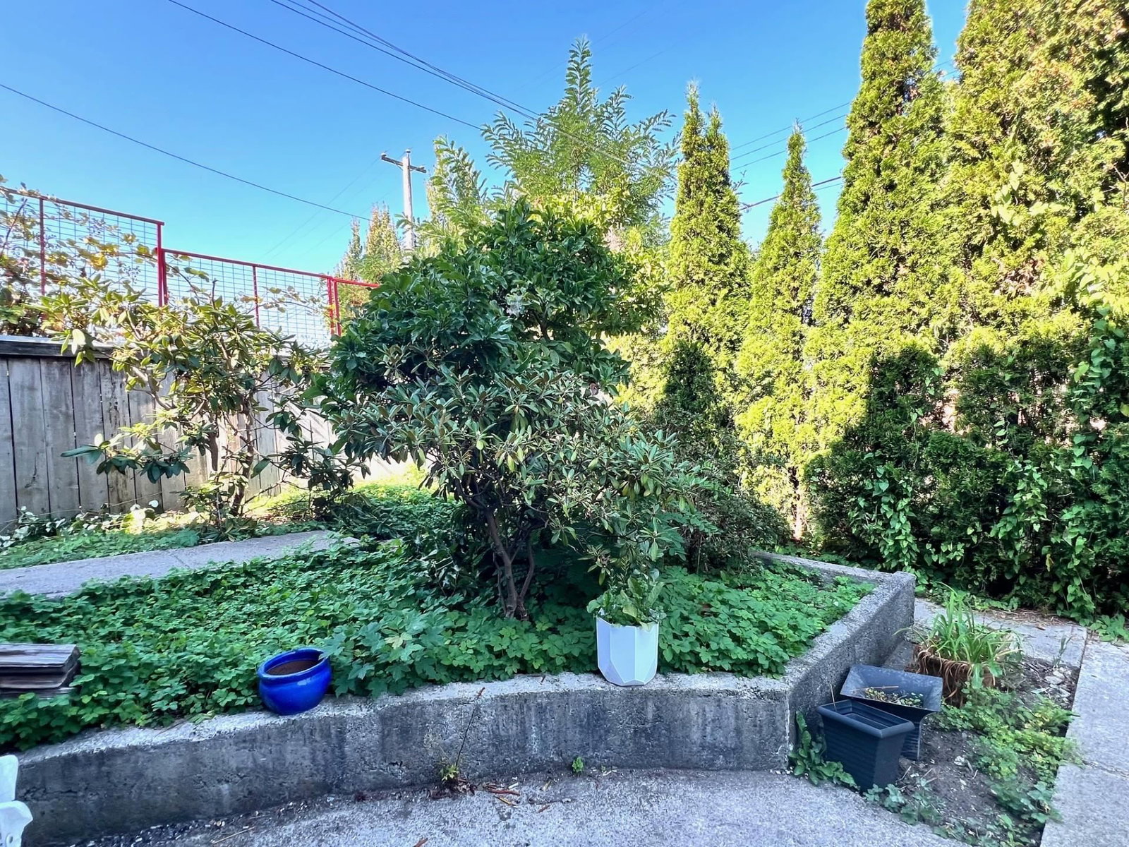 Listing Image 16
