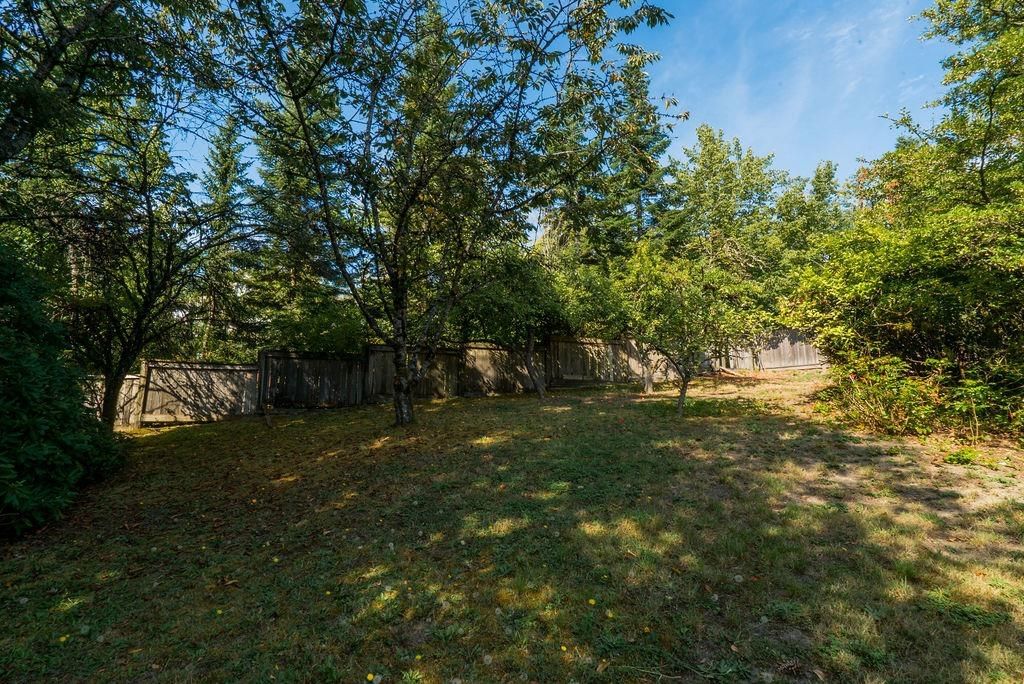 Listing Image 38