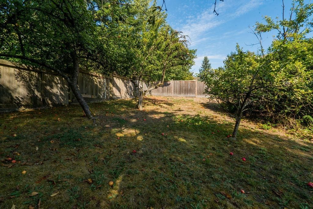 Listing Image 39