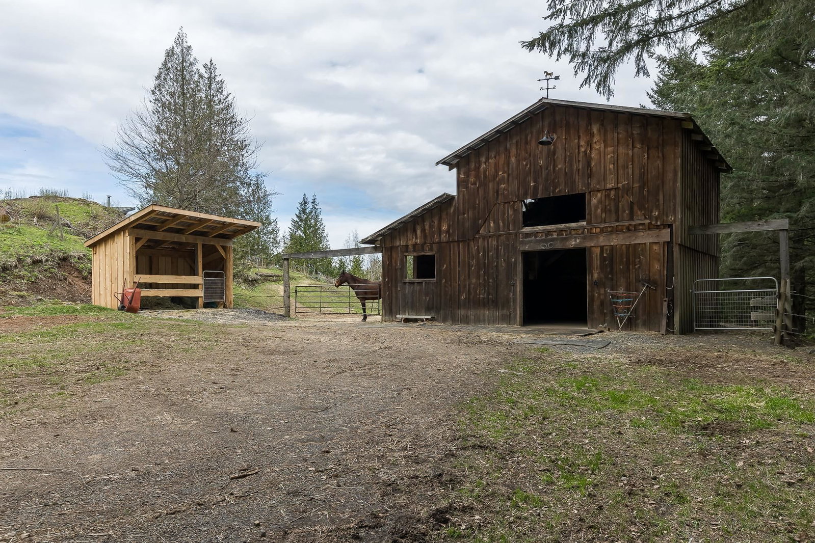 Listing Image 25