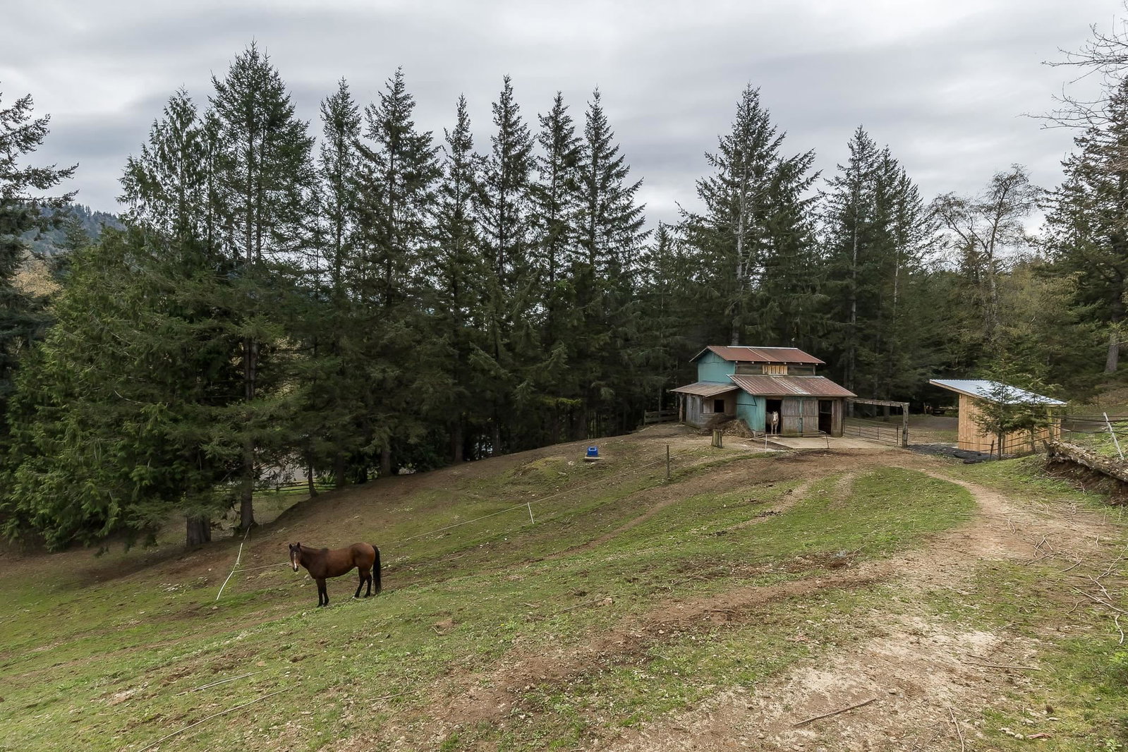 Listing Image 29