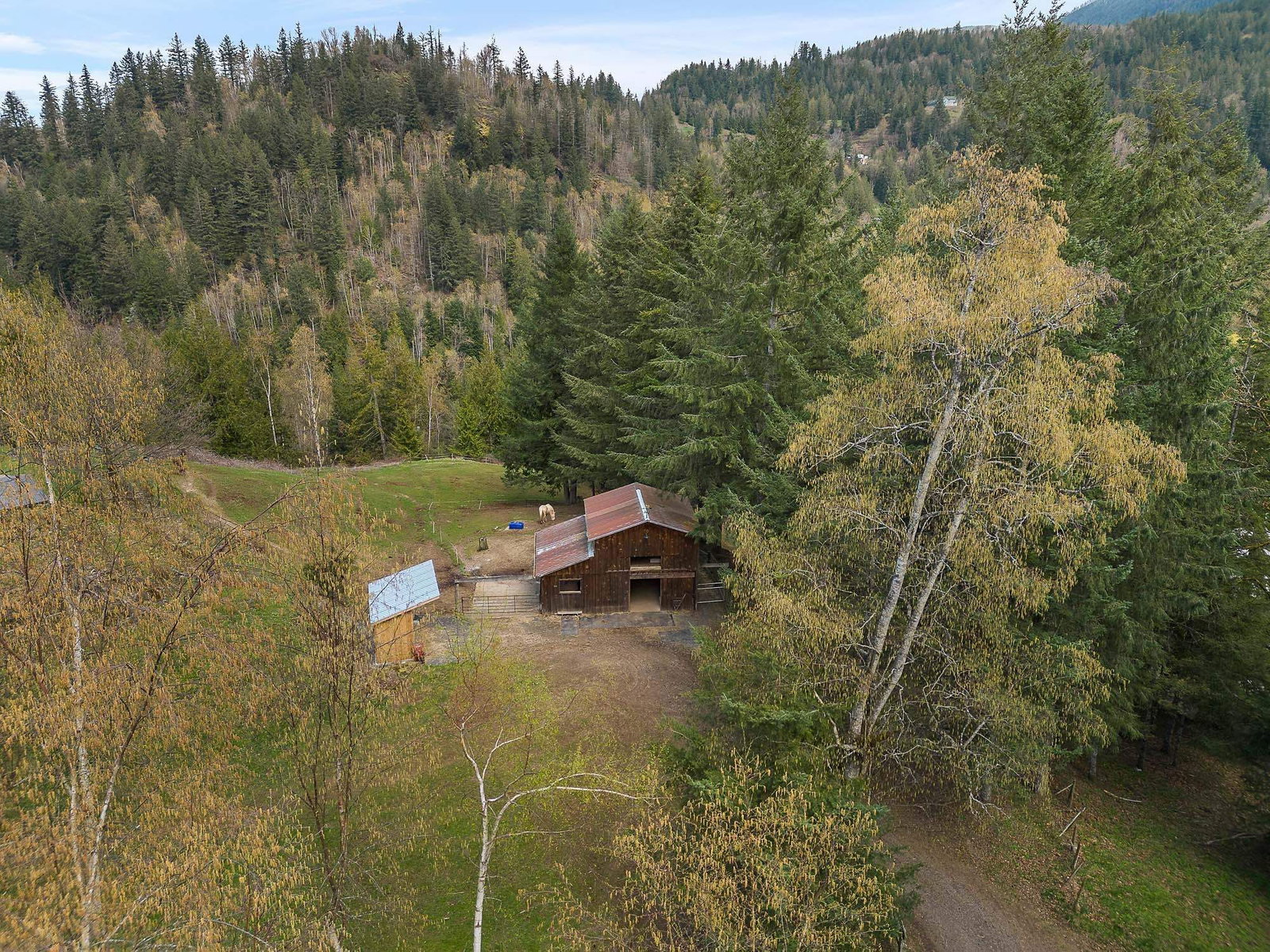 Listing Image 38