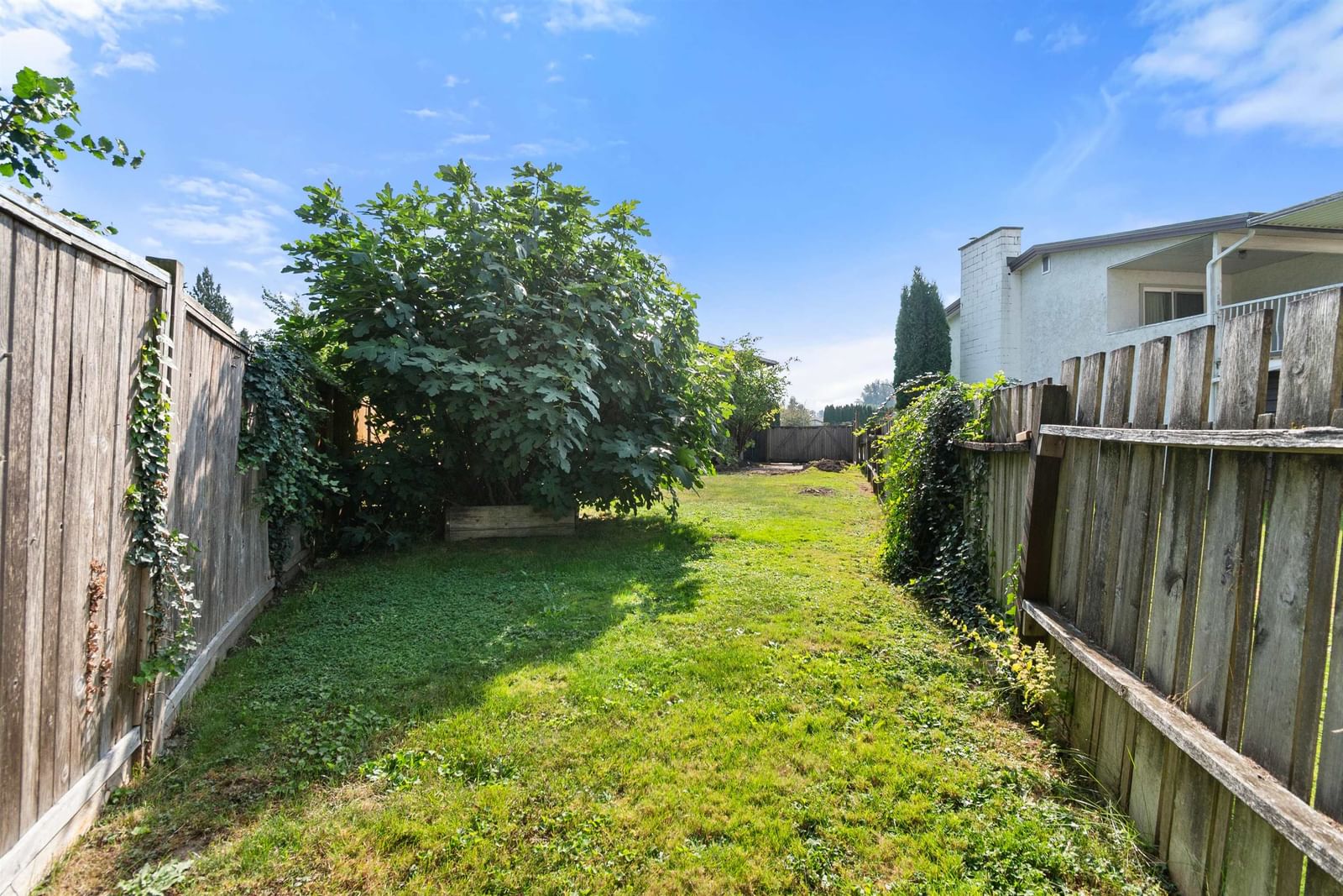 Listing Image 37