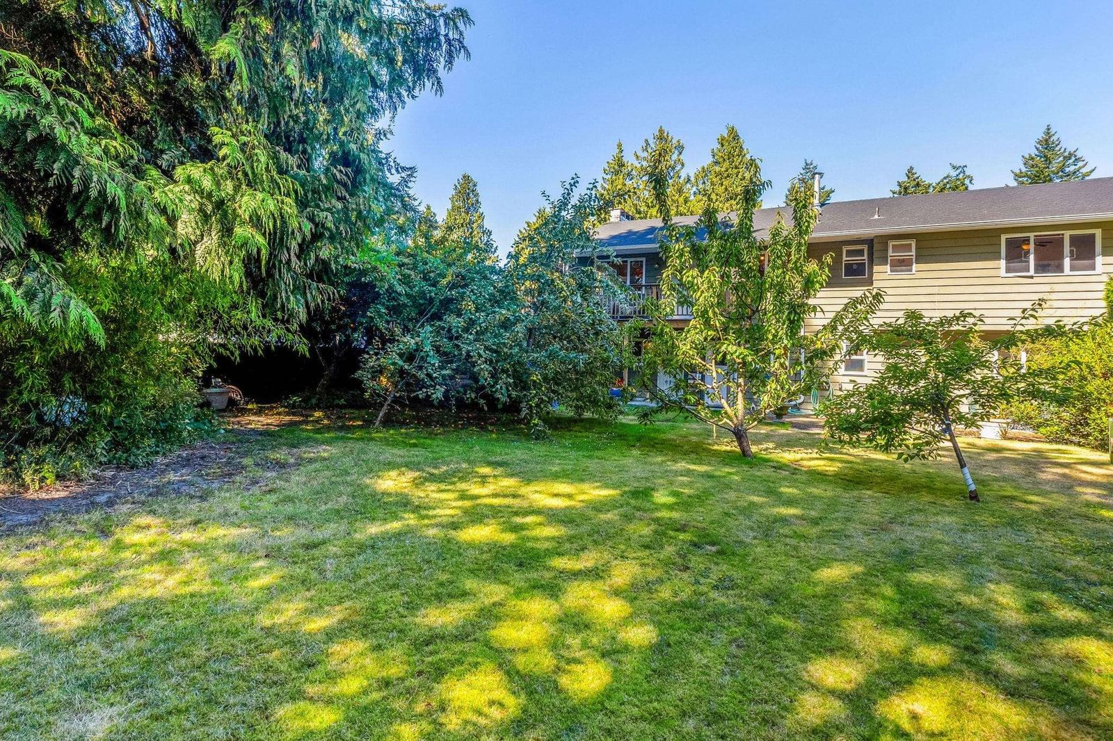 Listing Image 25