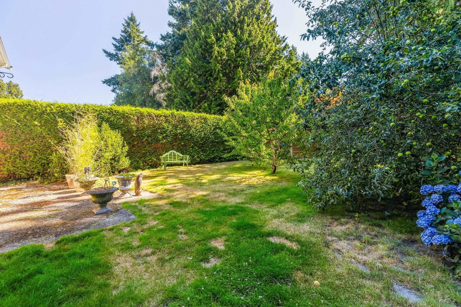 Listing Image 28