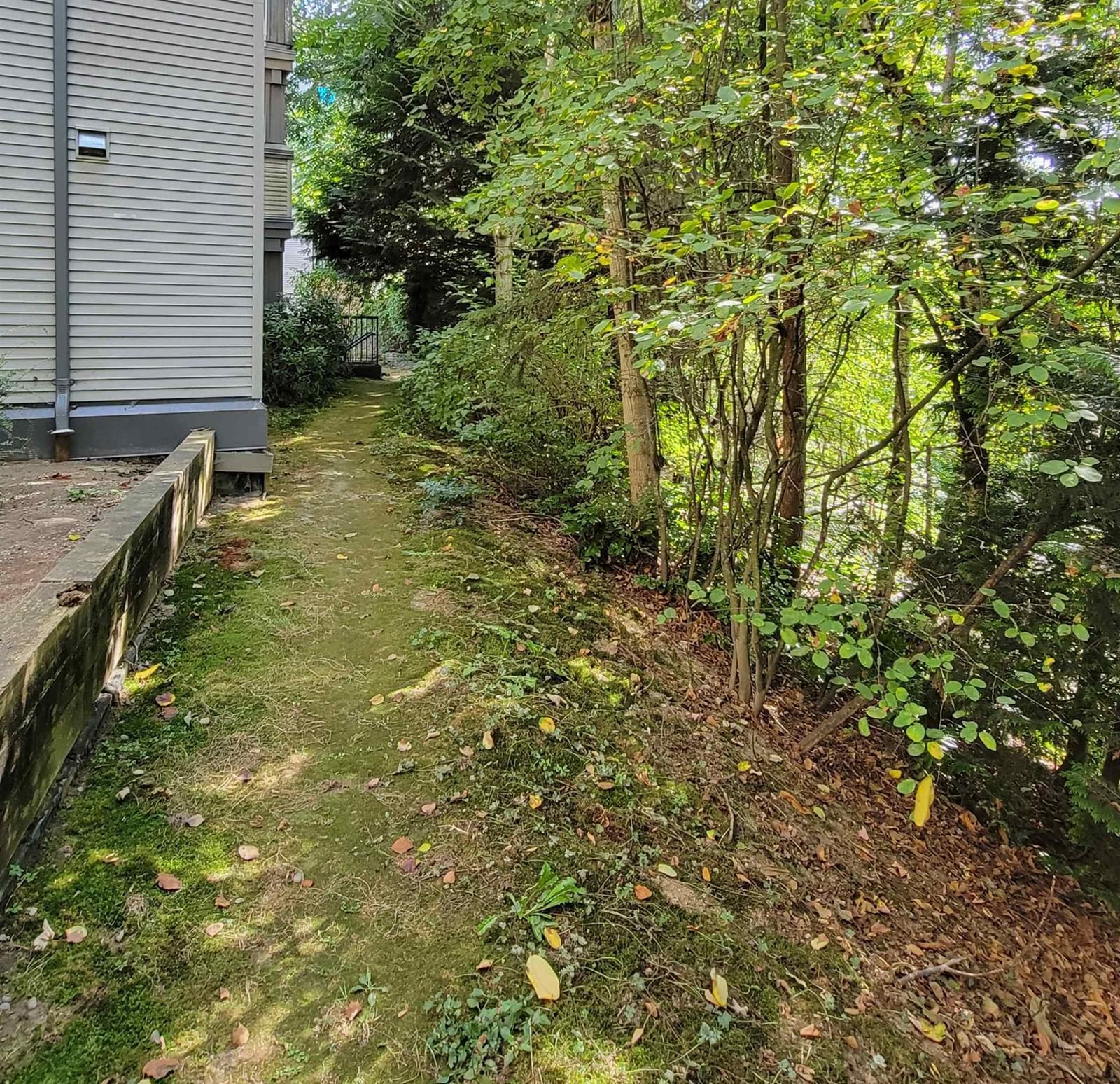 Listing Image 33